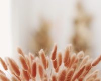 Processed with VSCO with c5 preset