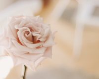 277433325_310730844495559_6690521714970861595_n